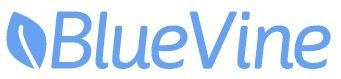 BlueVine Brings in $1.5 Million in Funding