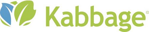 Kabbage Launched Karrot, a Consumer Marketplace Lending Product