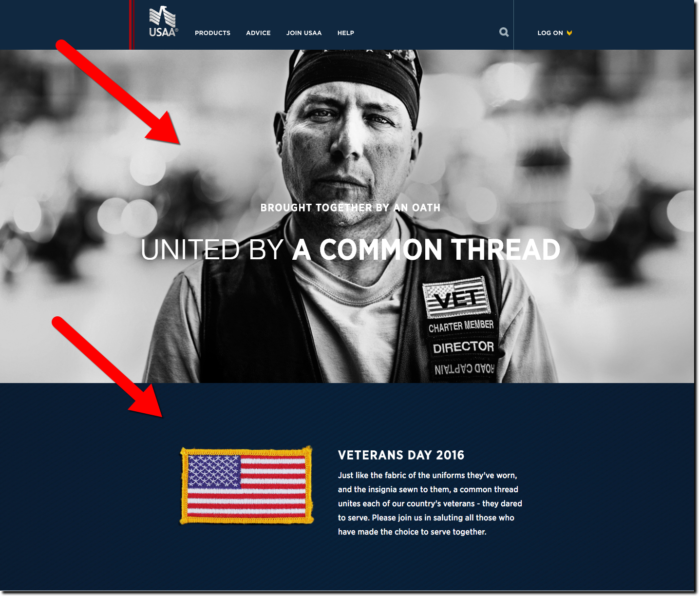 USAA homepage on Veterans Day (11 Nov 2016) 