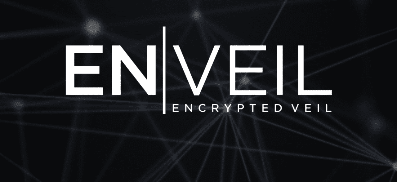 ENVEIL-cyber-security