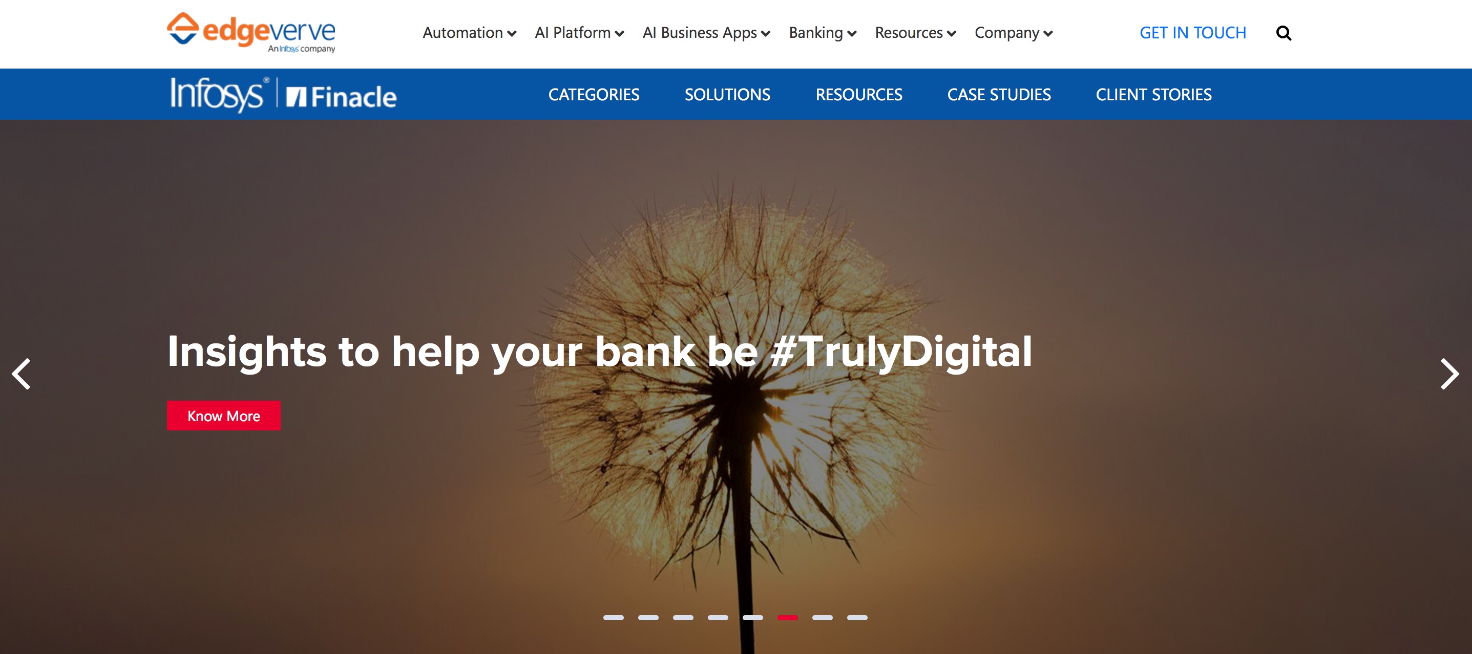 Standard Bank Leverages Mobile Teller Tech from Infosys Finacle