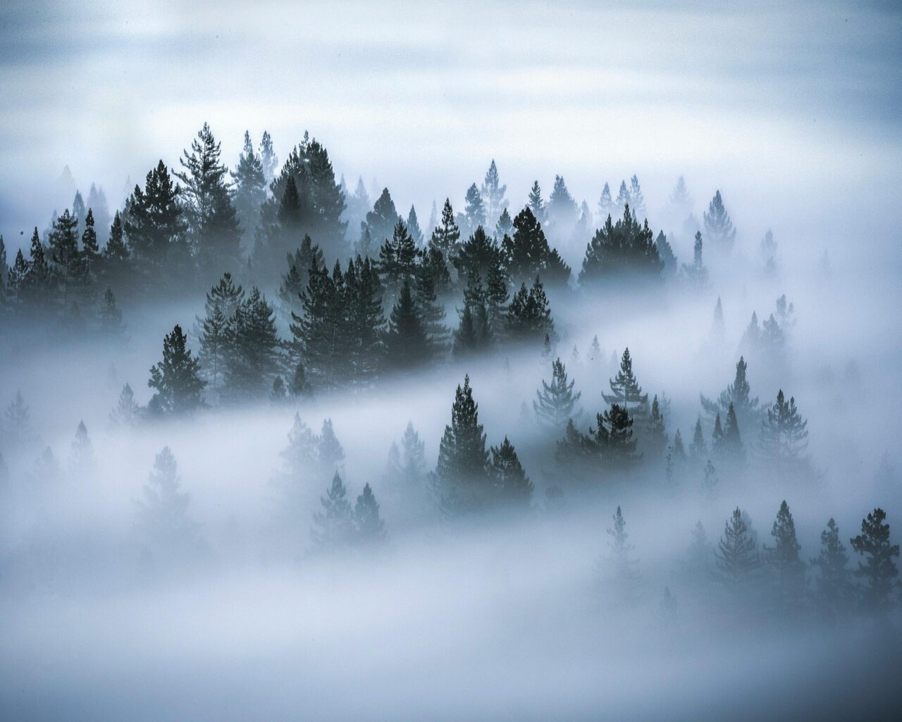 Former PayPal and Intuit CEO Bill Harris Launches New Wealthtech Evergreen Wealth