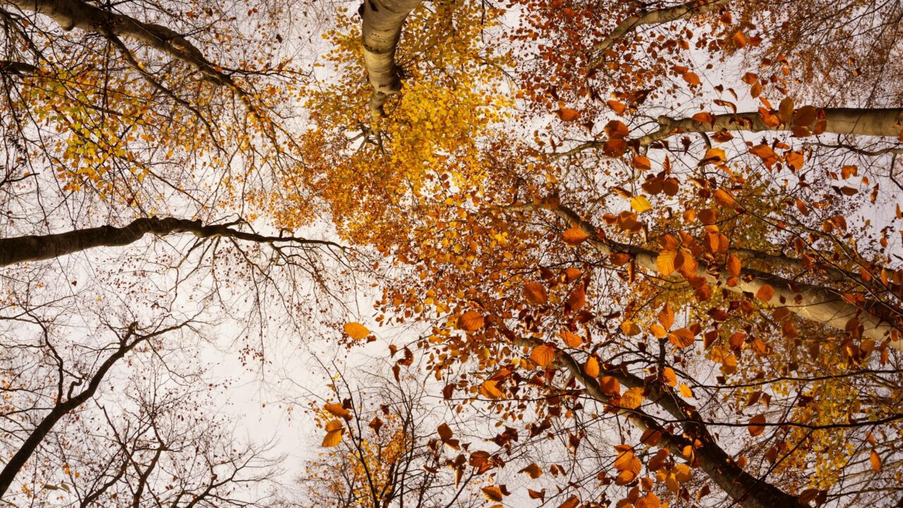 Fintech přehled: Rychlý souhrn týdenních novinek