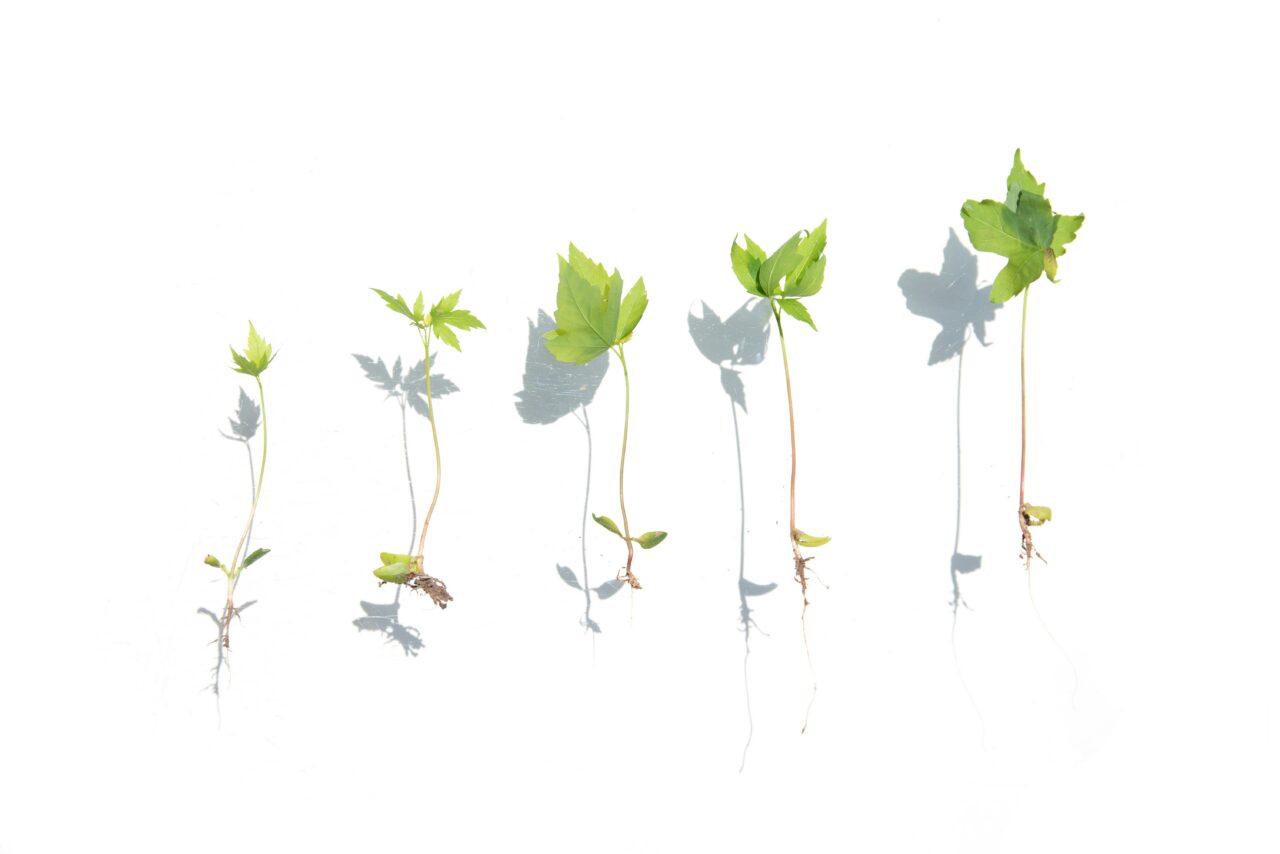 Impact+ Heads to FinovateSpring to Spotlight Early-Stage Fintech Innovation